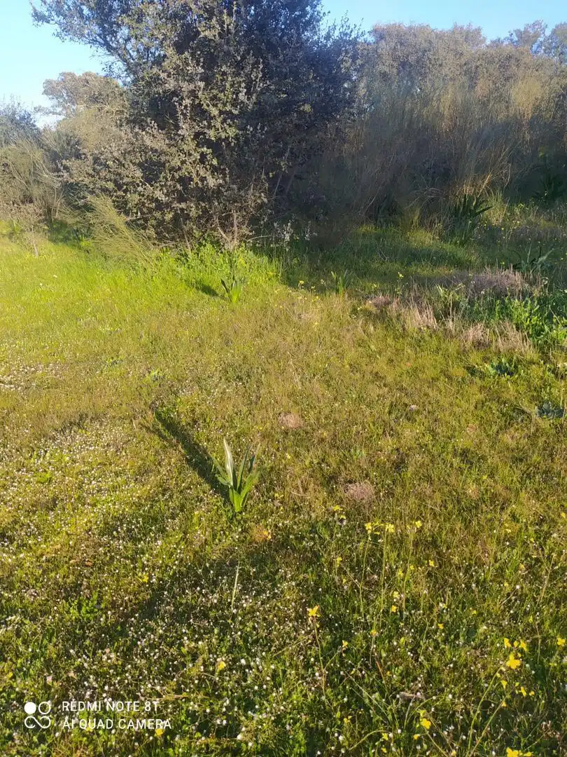 Finca rústica en venta en Villar de Rena