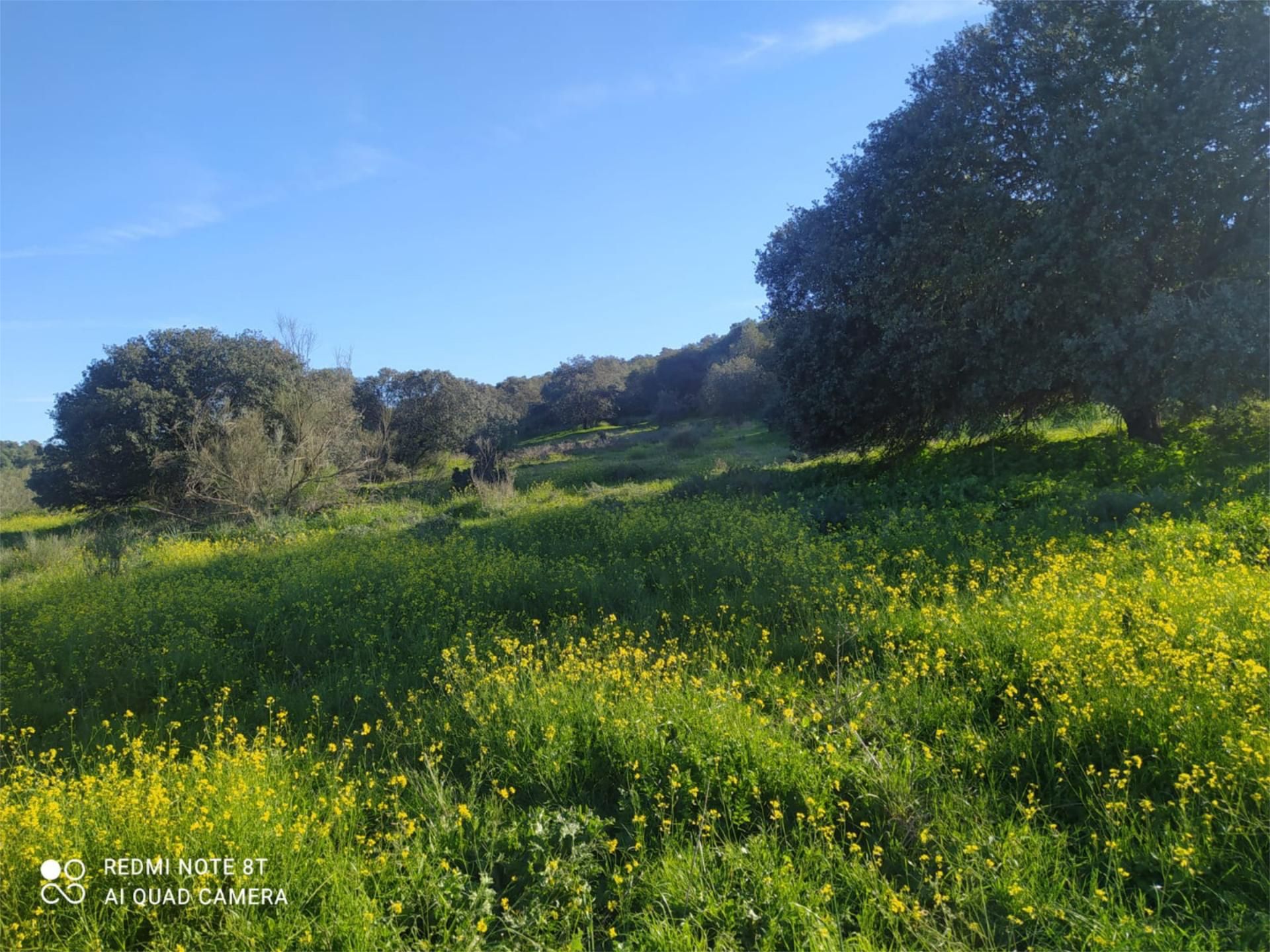 Country house to rent in Villar de Rena