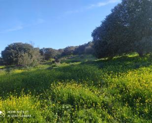 Finca rústica de lloguer en Villar de Rena