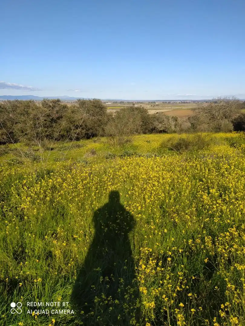 Jardín de Finca rústica en venta en Villar de Rena