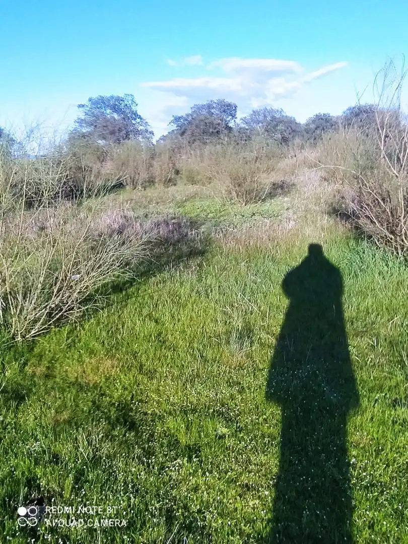 Finca rústica en venta en Villar de Rena