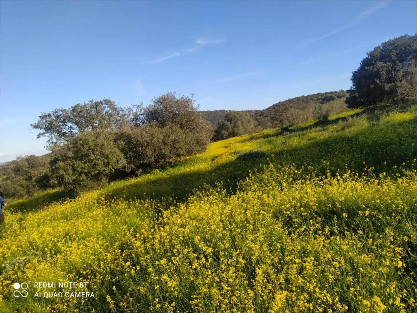 Vista exterior de Finca rústica en venta en Villar de Rena