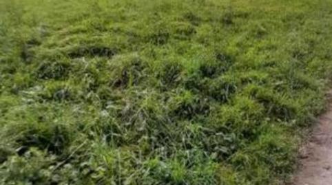 Urbanitzable en venda a Barrio Fondo, 2, Carreño, Asturias - imatge 3 Foto 3 de Urbanitzable en venda a Barrio Fondo, 2, Carreño, Asturias