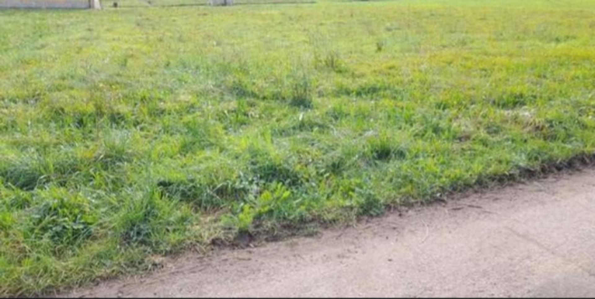 Constructible Land for sale in Carreño
