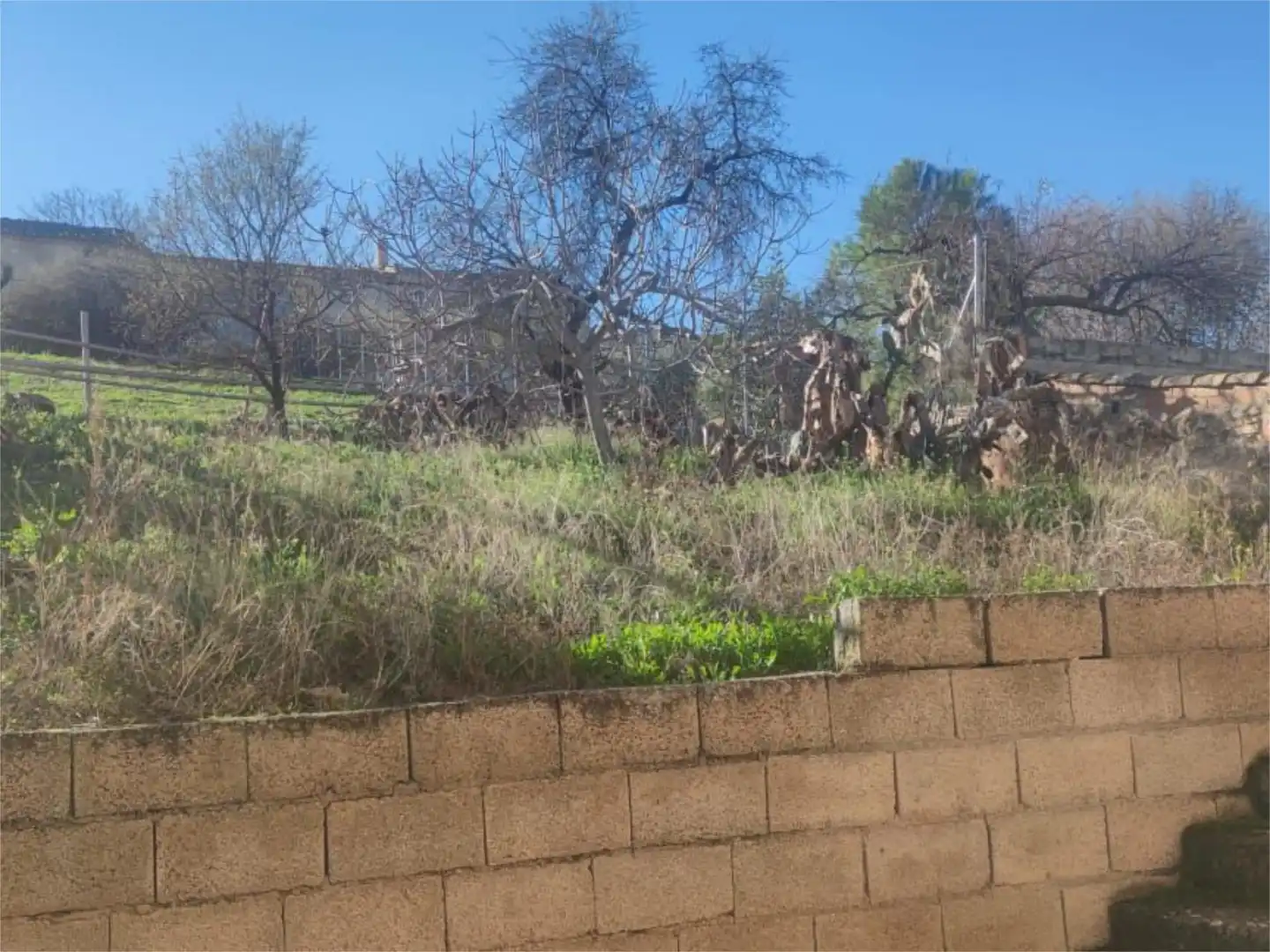 Finca rústica en venta en Calle del Tejo, 22, Peal de Becerro Finca rústica en venta en Calle del Tejo, 22, Peal de Becerro