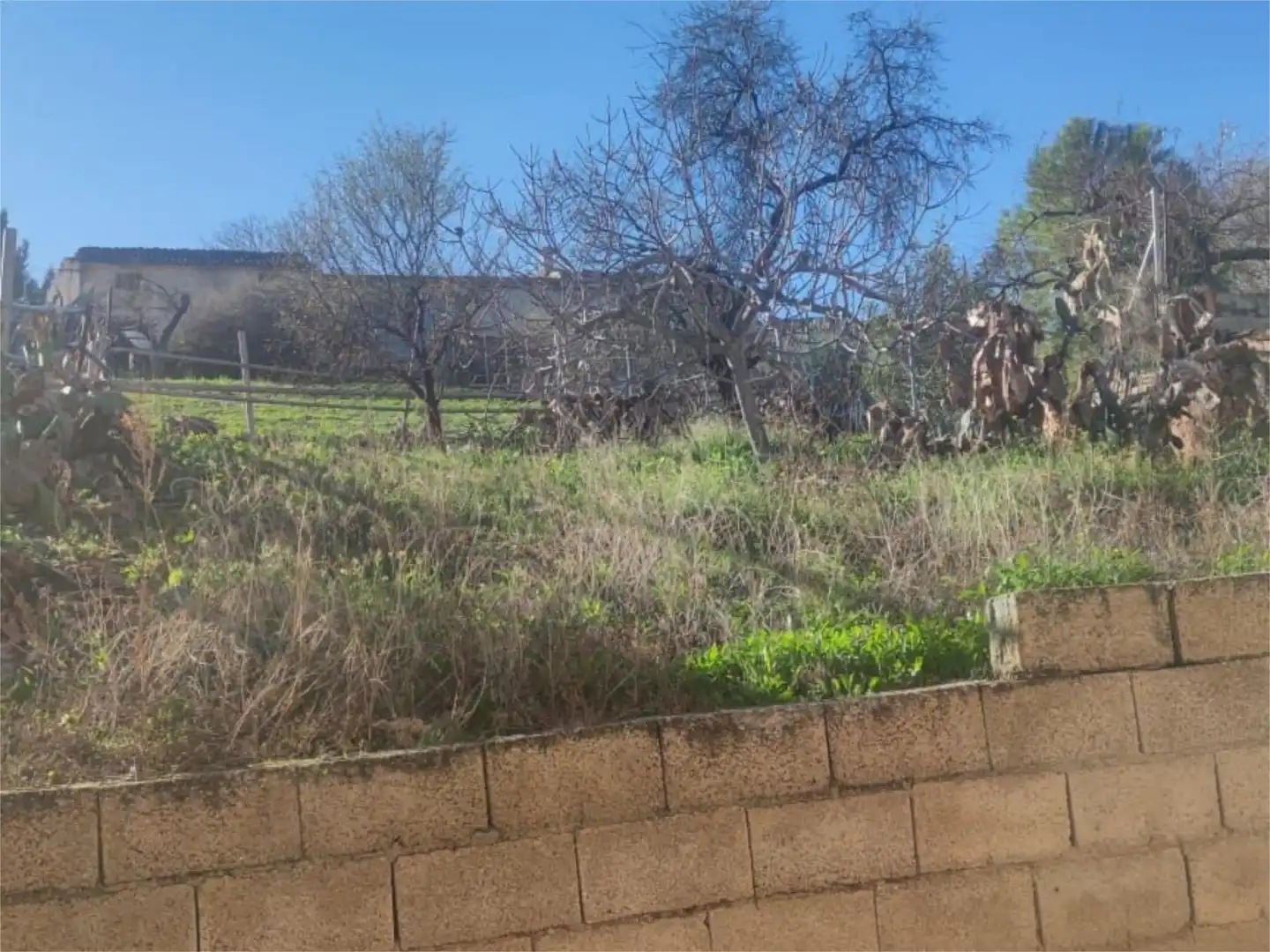 Finca rústica en venta en Calle del Tejo, 22, Peal de Becerro Finca rústica en venta en Calle del Tejo, 22, Peal de Becerro