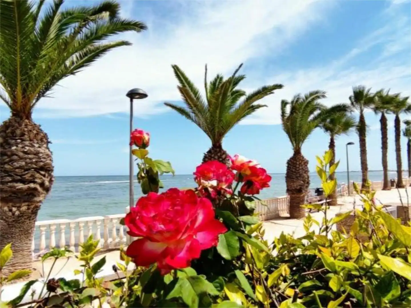 Casa o chalet en venta en Paseo Marítimo Mojón, 25, El Mojón Casa o chalet en venta en Pilar de la Horadada con Aire acondicionado, Jardín privado y Terraza