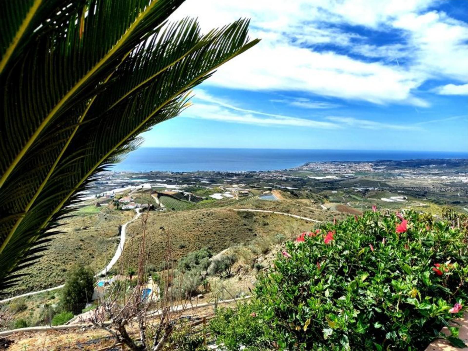 Vista exterior de Casa o xalet en venda en Algarrobo amb Aire condicionat, Terrassa i Piscina
