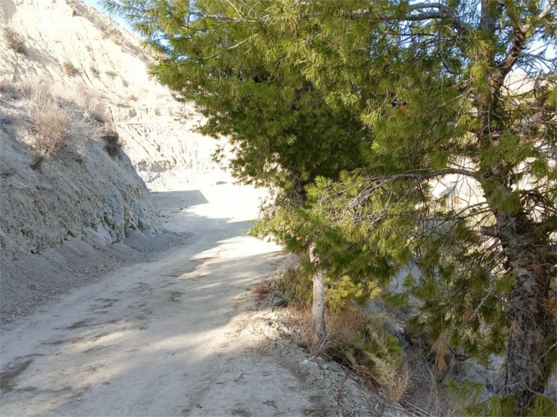 Exterior view of Land for sale in Abarán