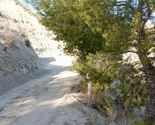 Exterior view of Land for sale in Abarán