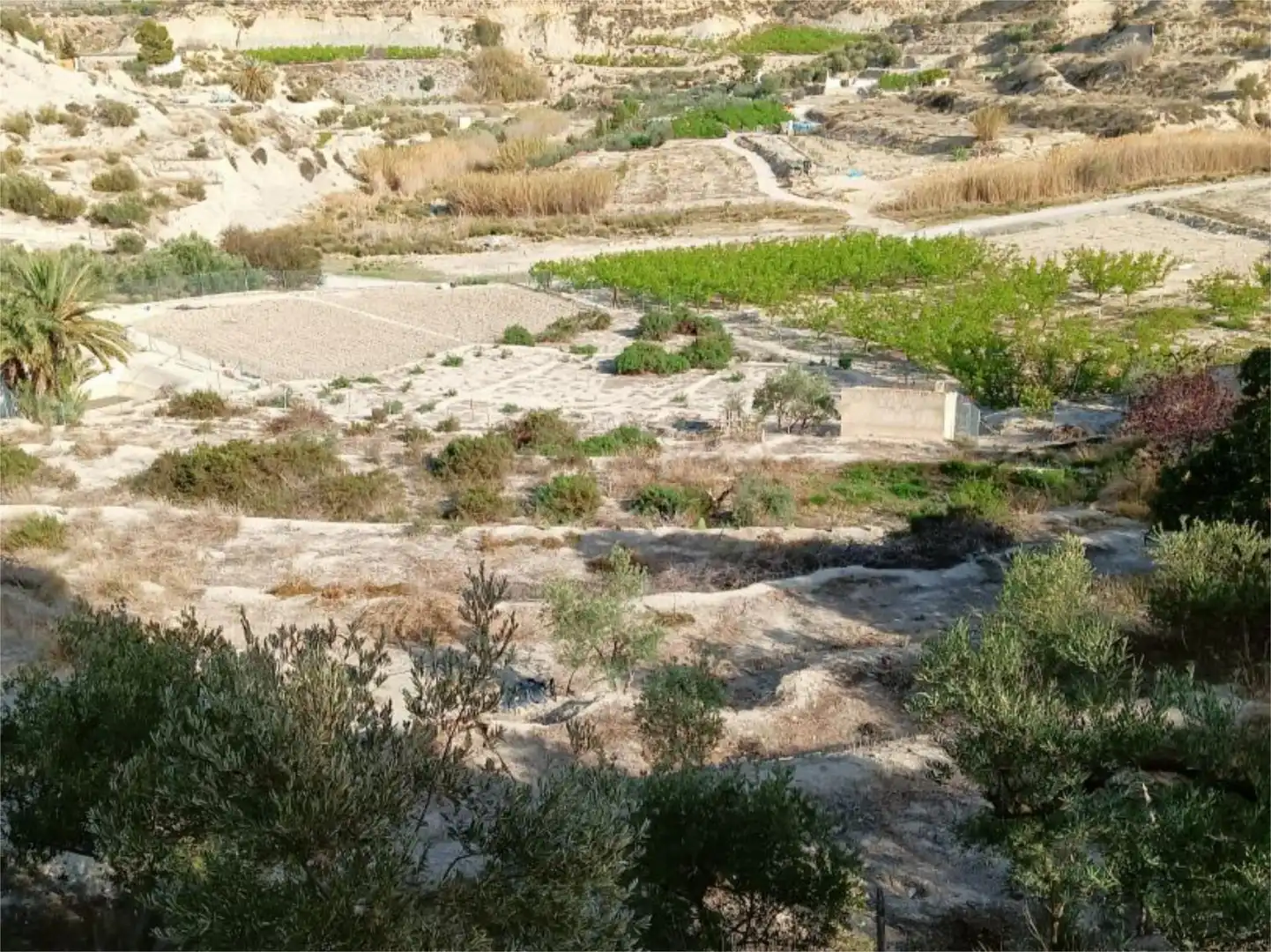 Terreno en venta en Abarán
