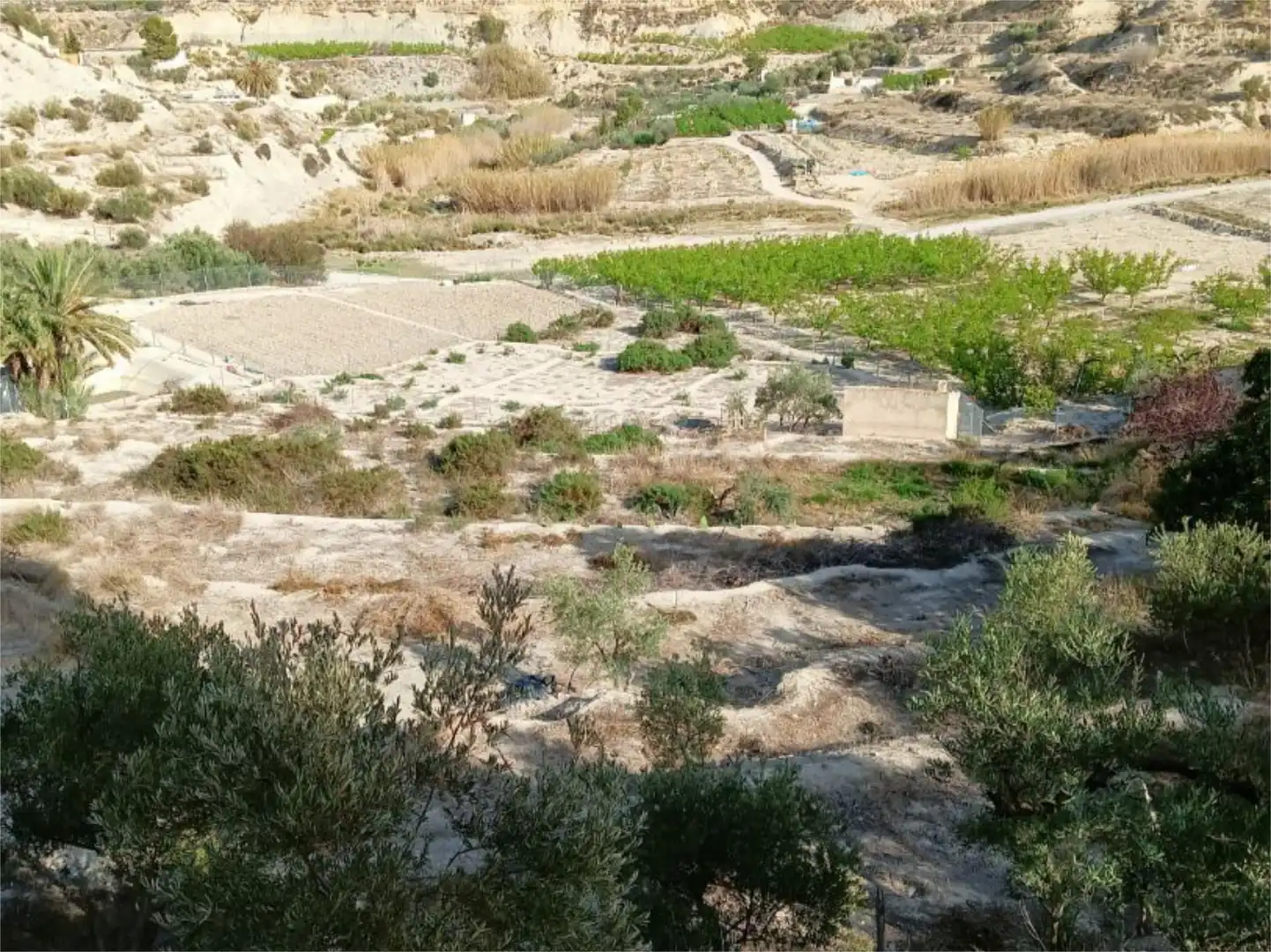 Terreno en venta en Abarán