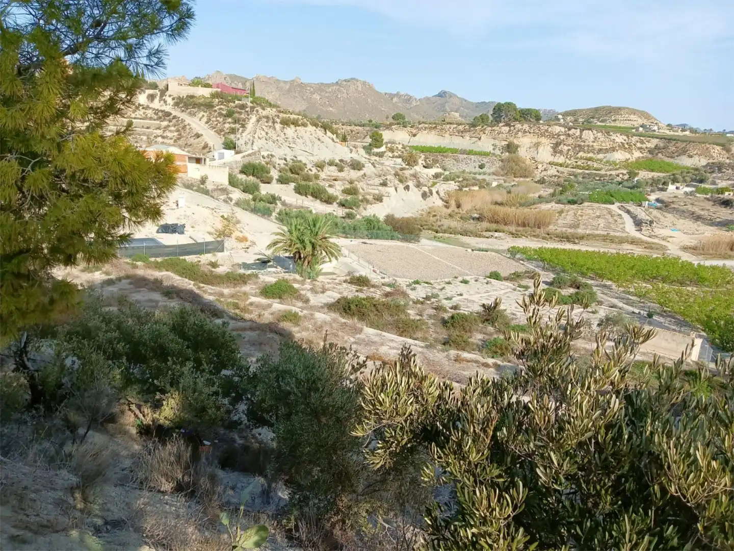 Terreno en venta en Abarán