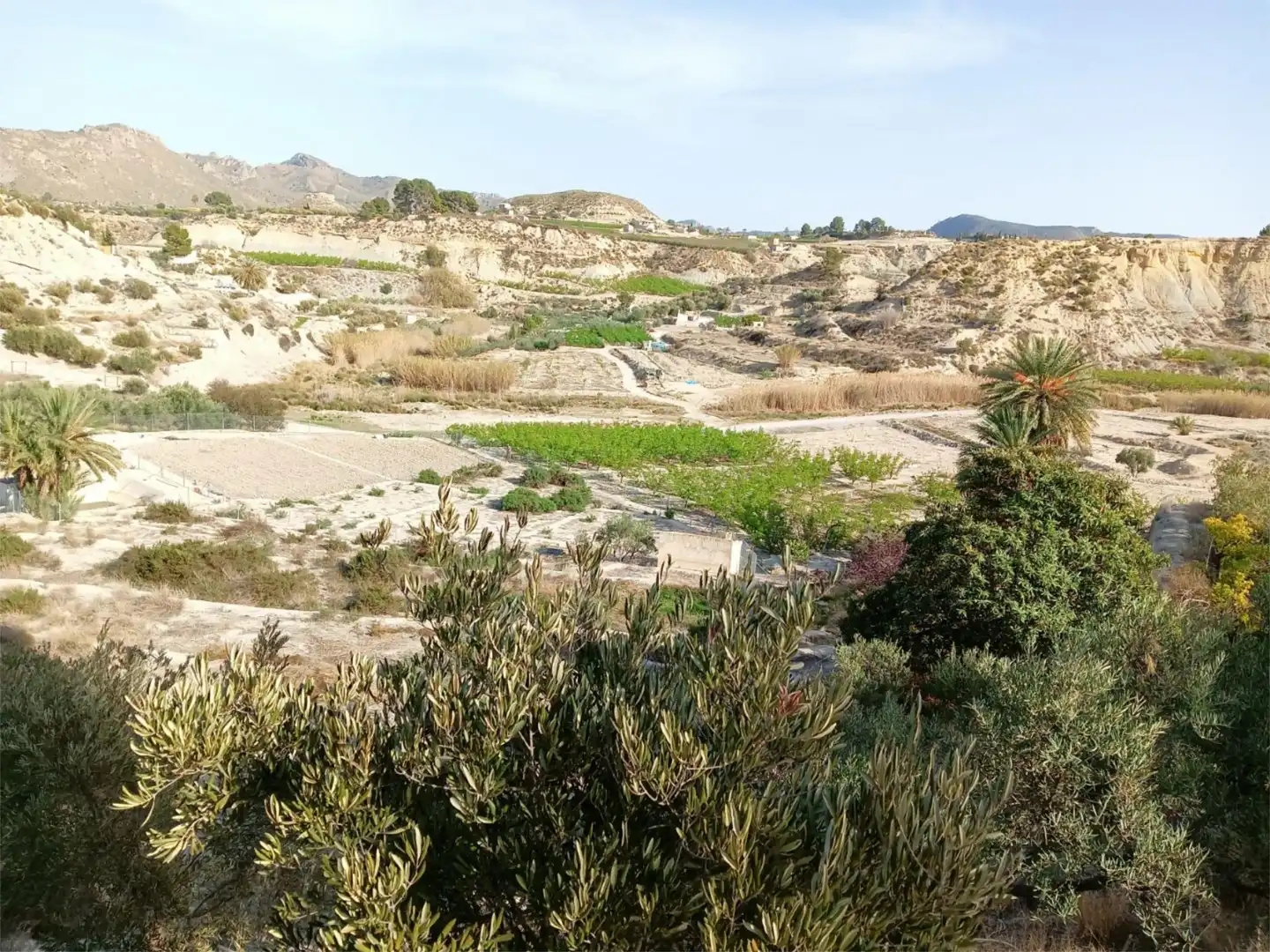 Terreno en venta en Abarán