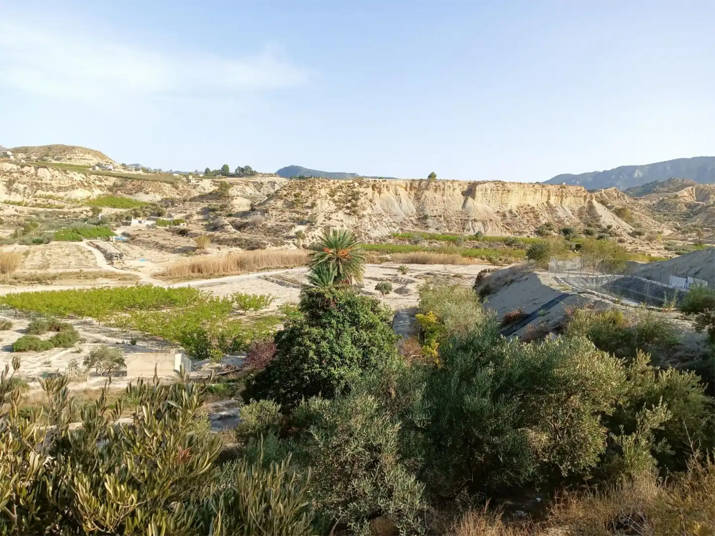 Terreno en venta en Abarán