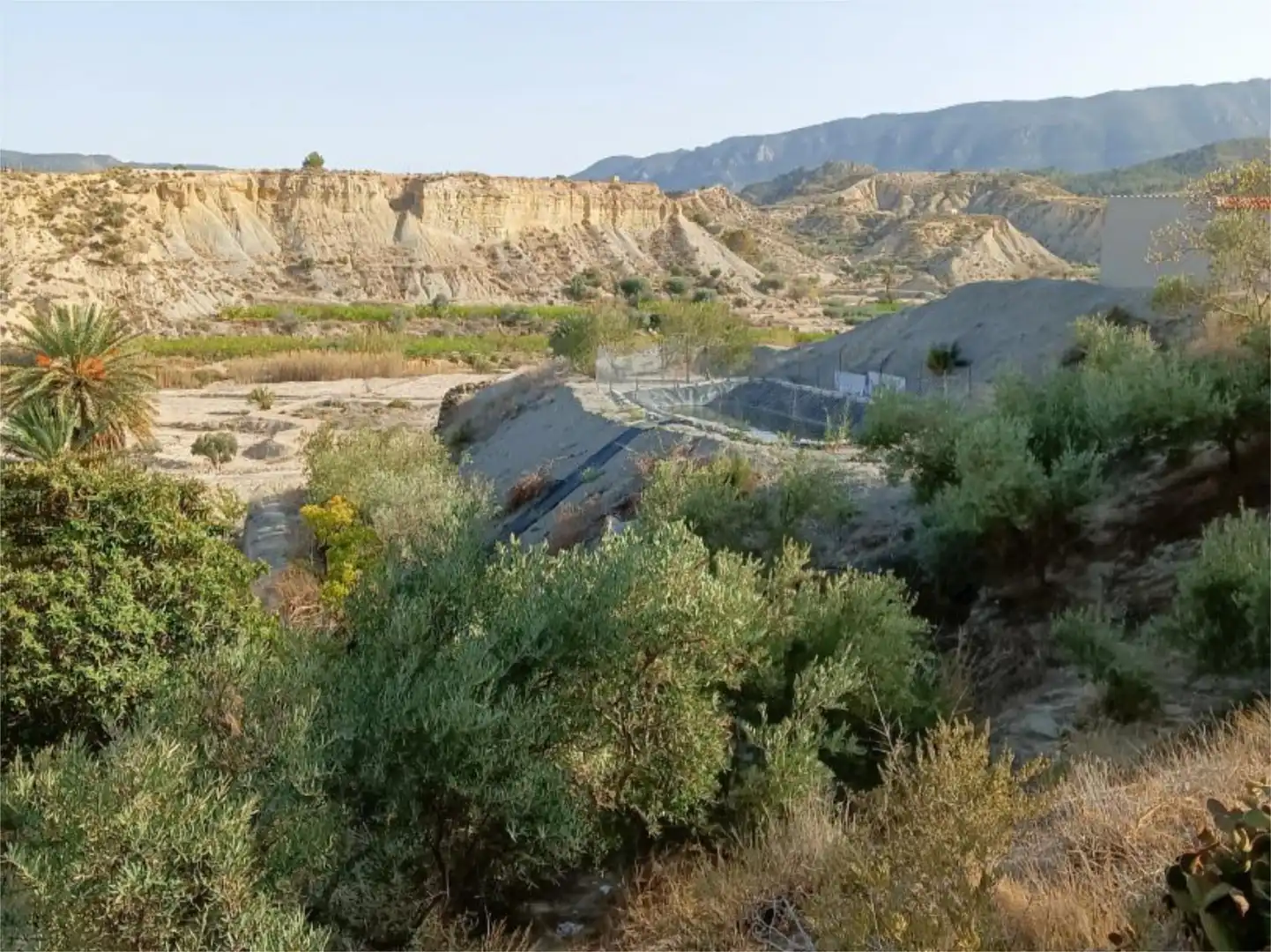 Vista exterior de Terreno en venta en Abarán