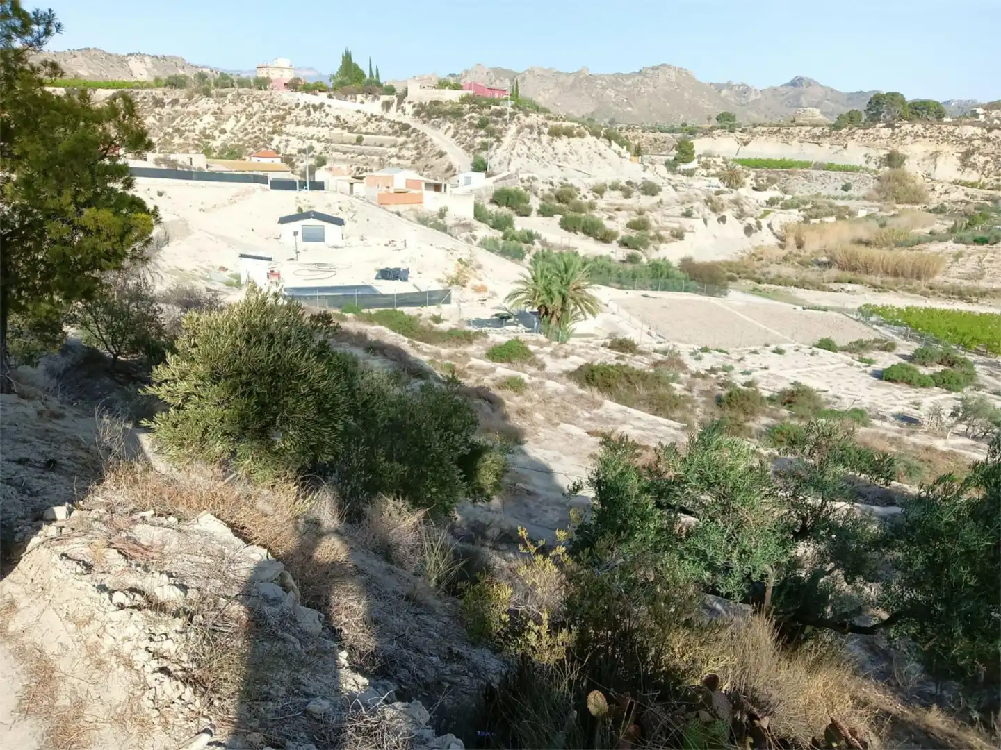 Terreno en venta en Abarán