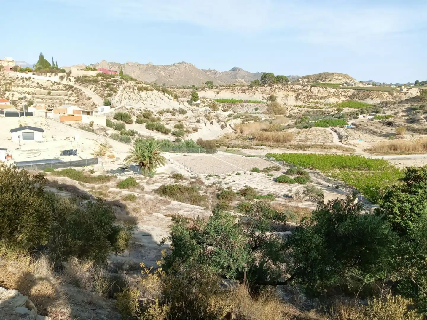 Terreno en venta en Abarán