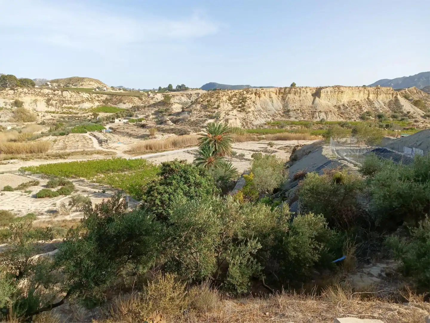 Terreno en venta en Abarán