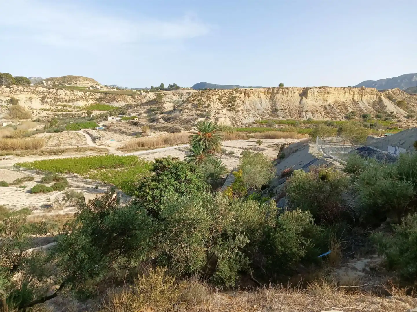 Terreno en venta en Abarán