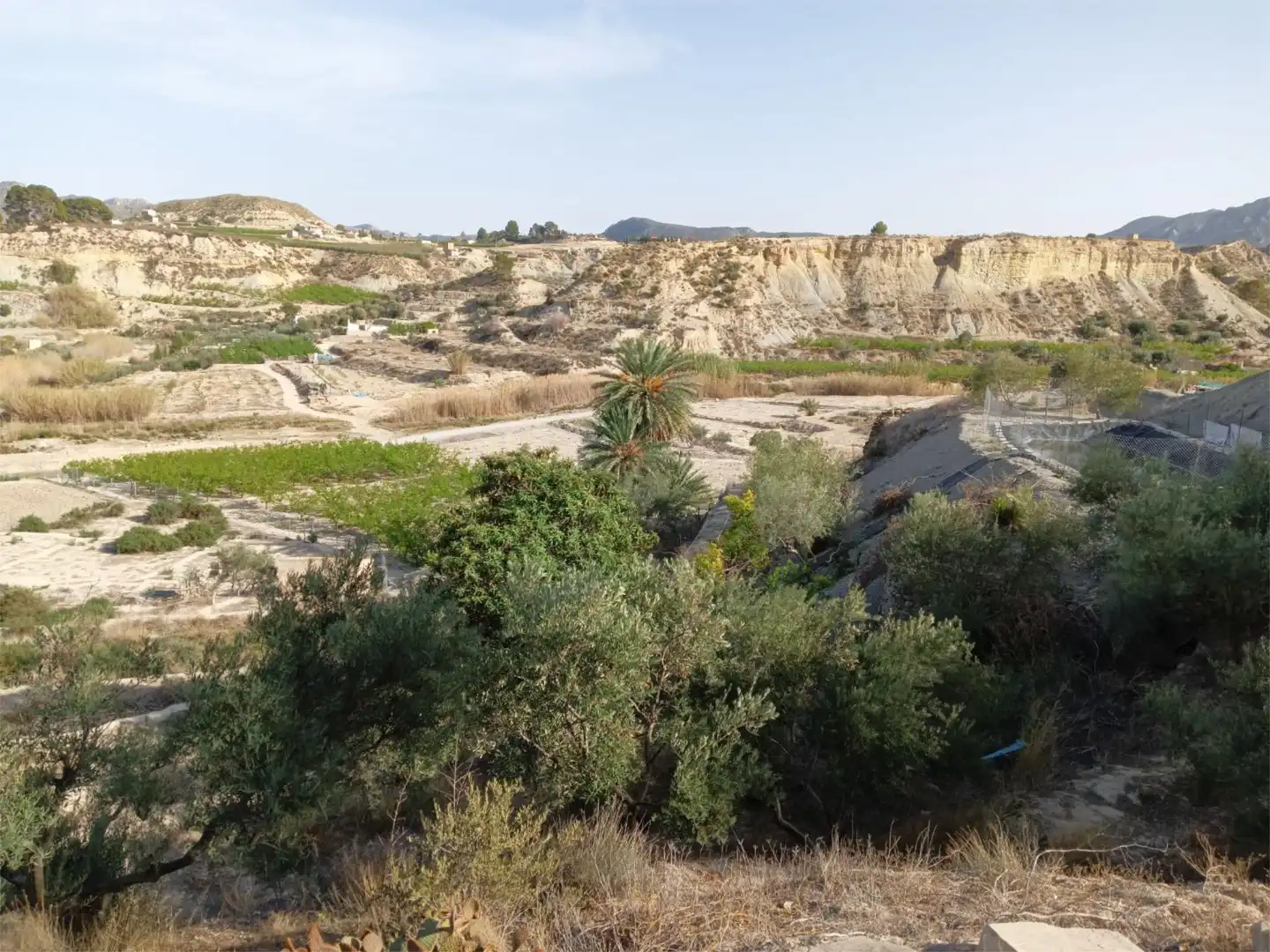 Terreno en venta en Abarán