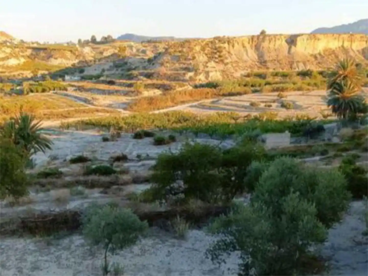 Terreno en venta en Abarán