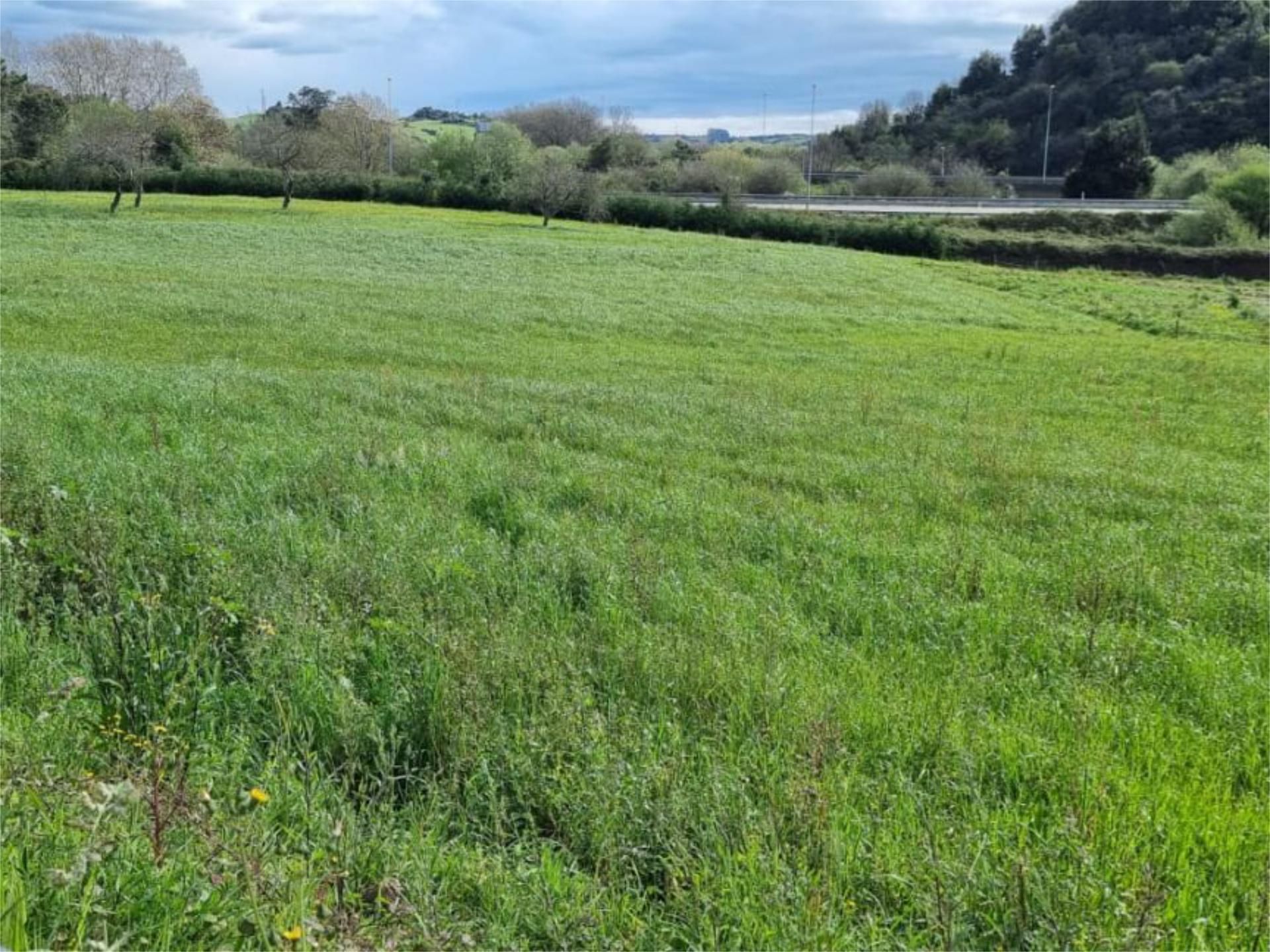 Constructible Land for sale in Gijón 