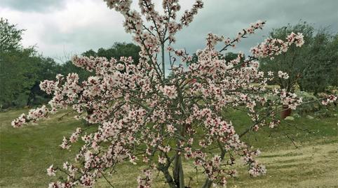 Casa o chalet en venta en Menasalbas, Toledo - imagen 4 Foto 4 de Casa o chalet en venta en Menasalbas, Toledo