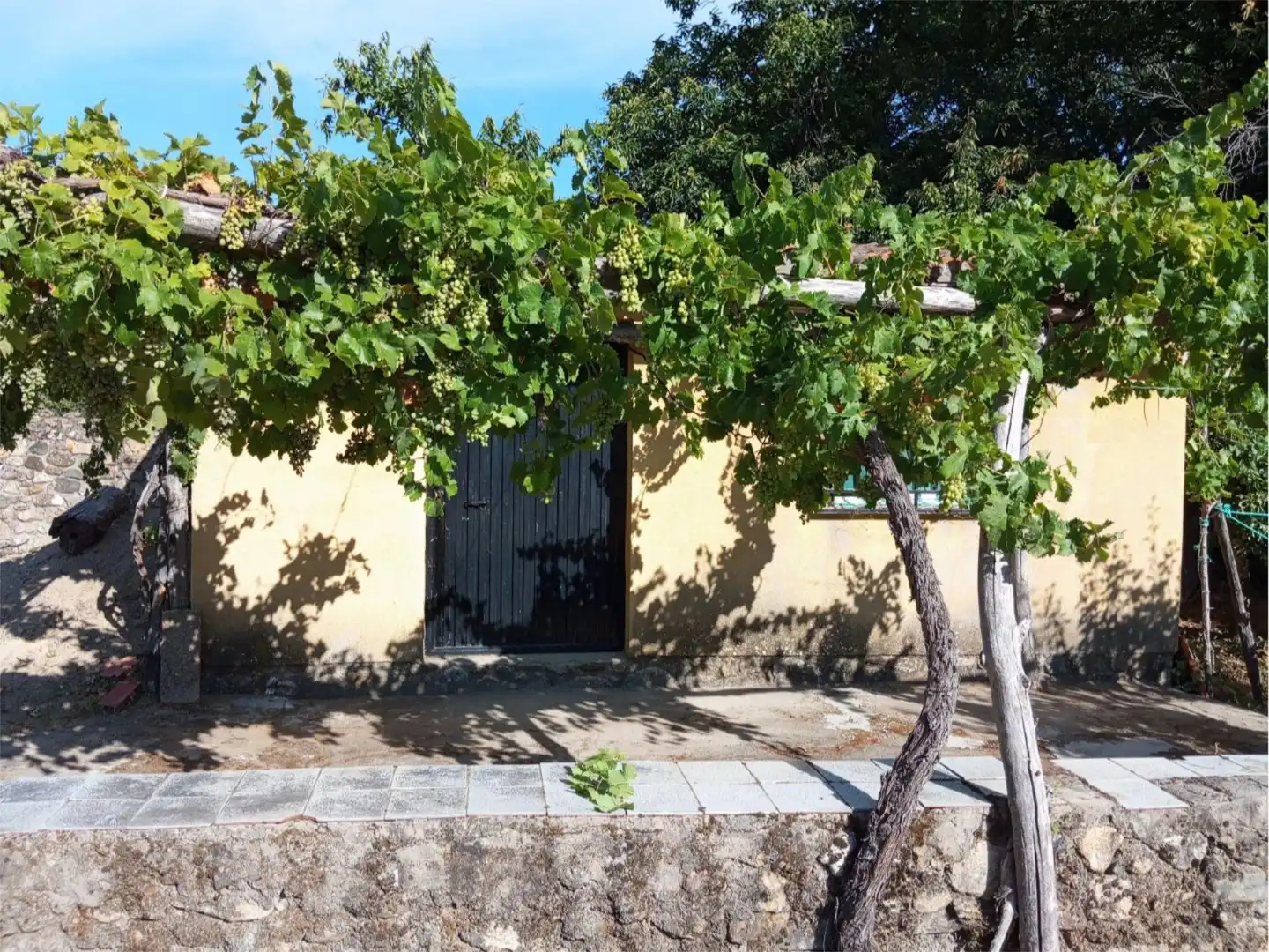 Jardín de No Urbanizable en venta en Hervás