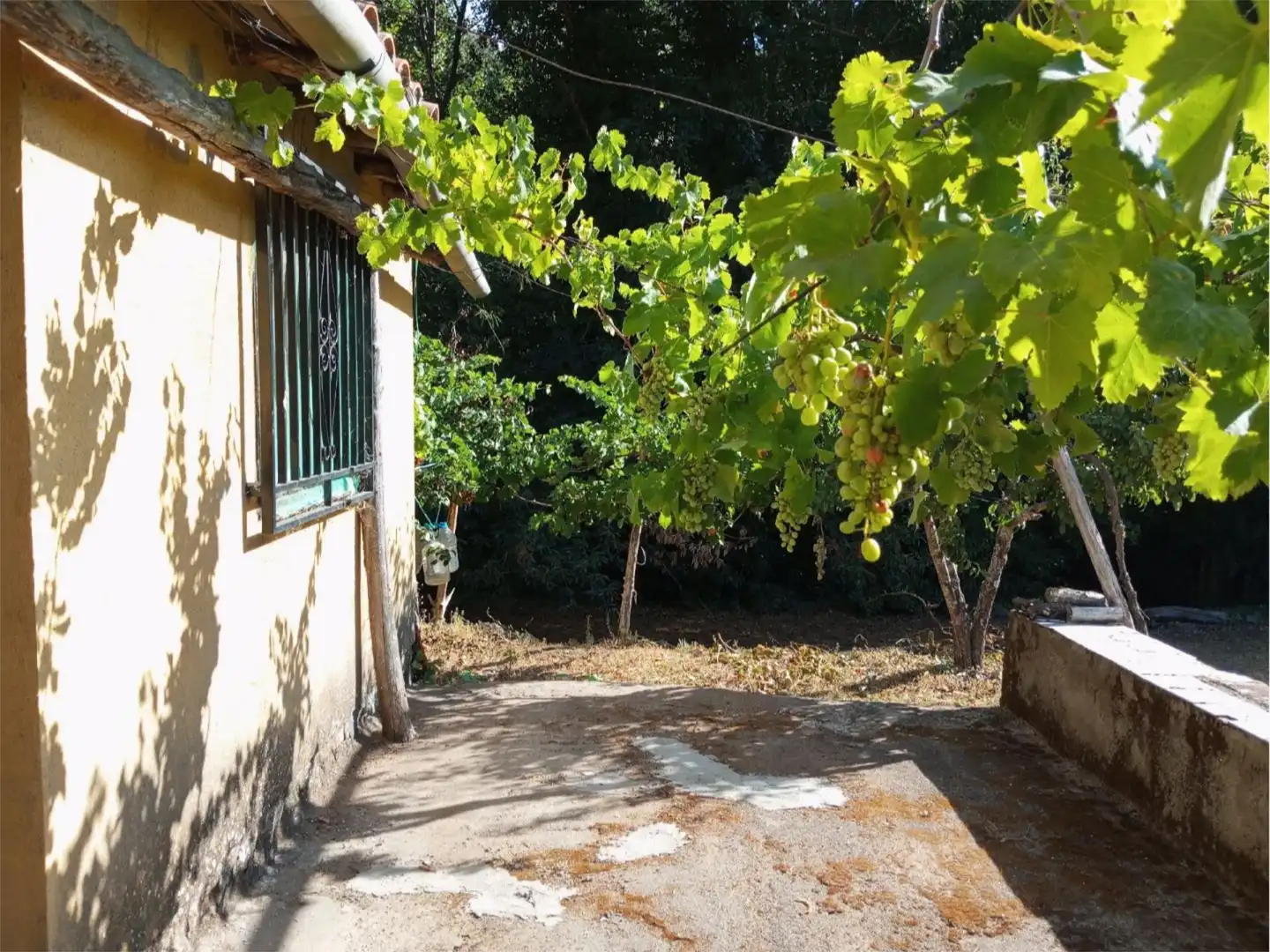 Jardín de No Urbanizable en venta en Hervás