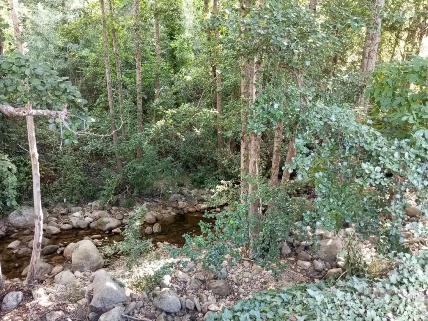 No Urbanizable en venta en Hervás