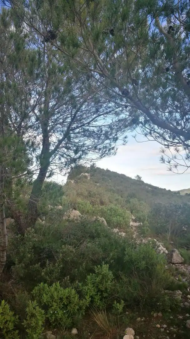 Finca rústica en venta en Plaça Bisbe Vilaplana, 12, La Vall d'Alcalà Finca rústica en venta en La Vall d'Alcalà con Parquet, Terraza y Lavadora