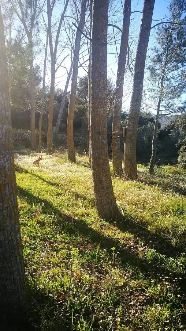 Finca rústica en venta en Plaça Bisbe Vilaplana, 12, La Vall d'Alcalà Jardín de Finca rústica en venta en La Vall d'Alcalà con Parquet, Terraza y Lavadora