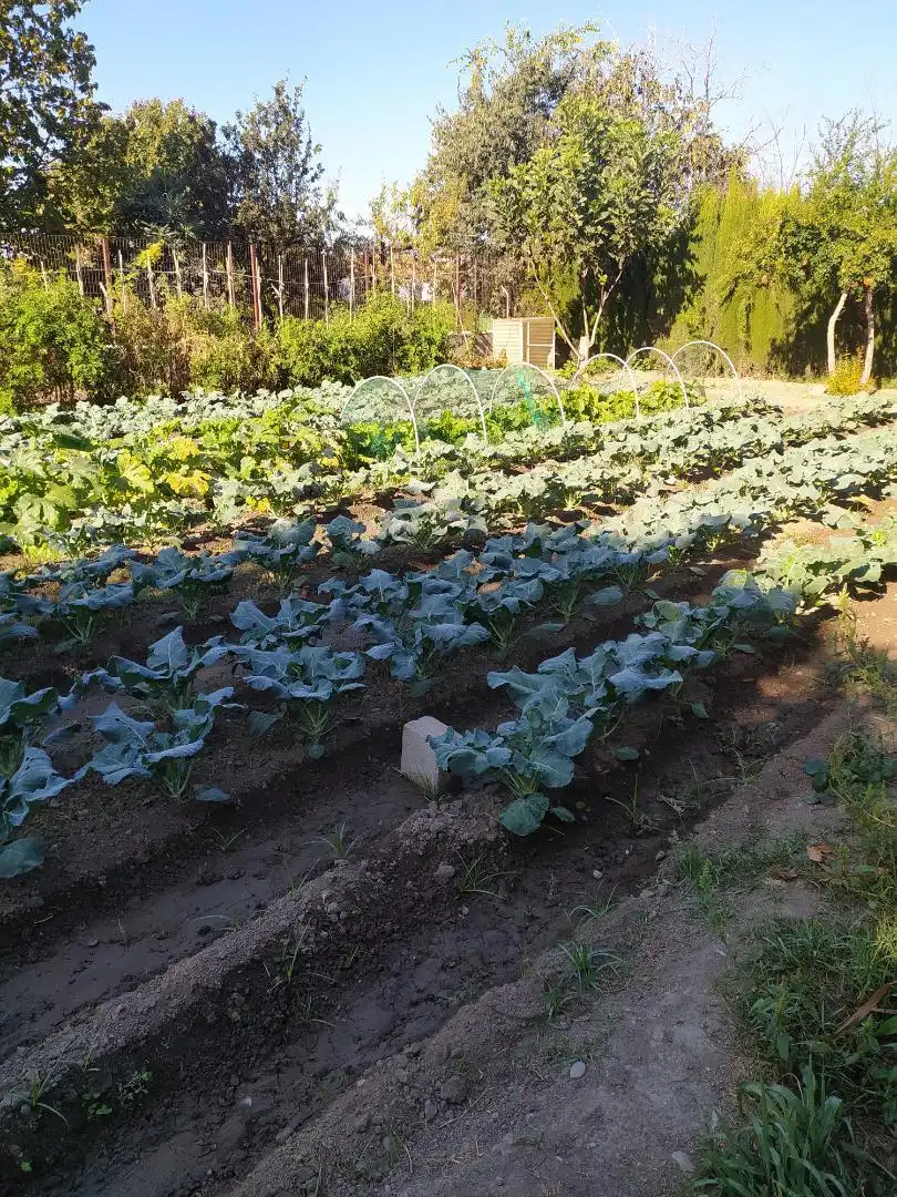 Finca rústica en venta en Camino de Purchil, 59, Bobadilla Jardín de Finca rústica en venta en Granada
