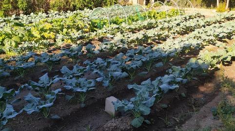 Finca rústica en venda a Camino de Purchil, 59, Bobadilla, Granada - imatge 3 Foto 3 de Finca rústica en venda a Camino de Purchil, 59, Bobadilla, Granada