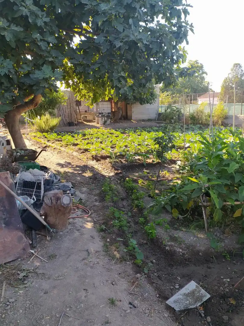 Finca rústica en venta en Camino de Purchil, 59, Bobadilla Jardín de Finca rústica en venta en Granada