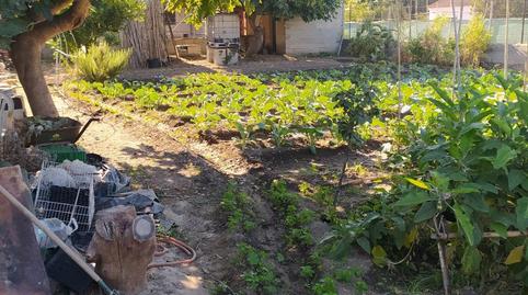 Finca rústica en venda a Camino de Purchil, 59, Bobadilla, Granada - imatge 5 Foto 5 de Finca rústica en venda a Camino de Purchil, 59, Bobadilla, Granada