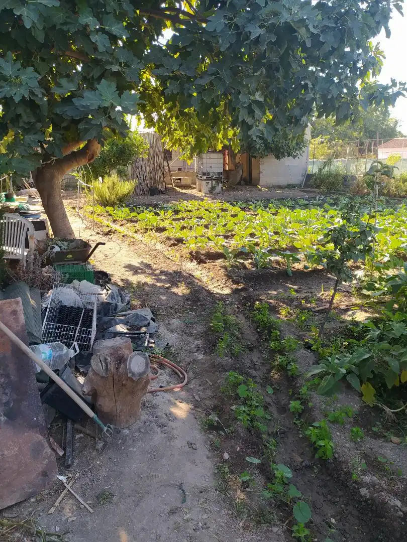 Finca rústica en venta en Camino de Purchil, 59, Bobadilla Jardín de Finca rústica en venta en Granada