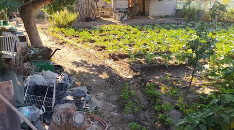 Finca rústica en venda a Camino de Purchil, 59, Bobadilla, Granada - imatge 4 Foto 4 de Finca rústica en venda a Camino de Purchil, 59, Bobadilla, Granada