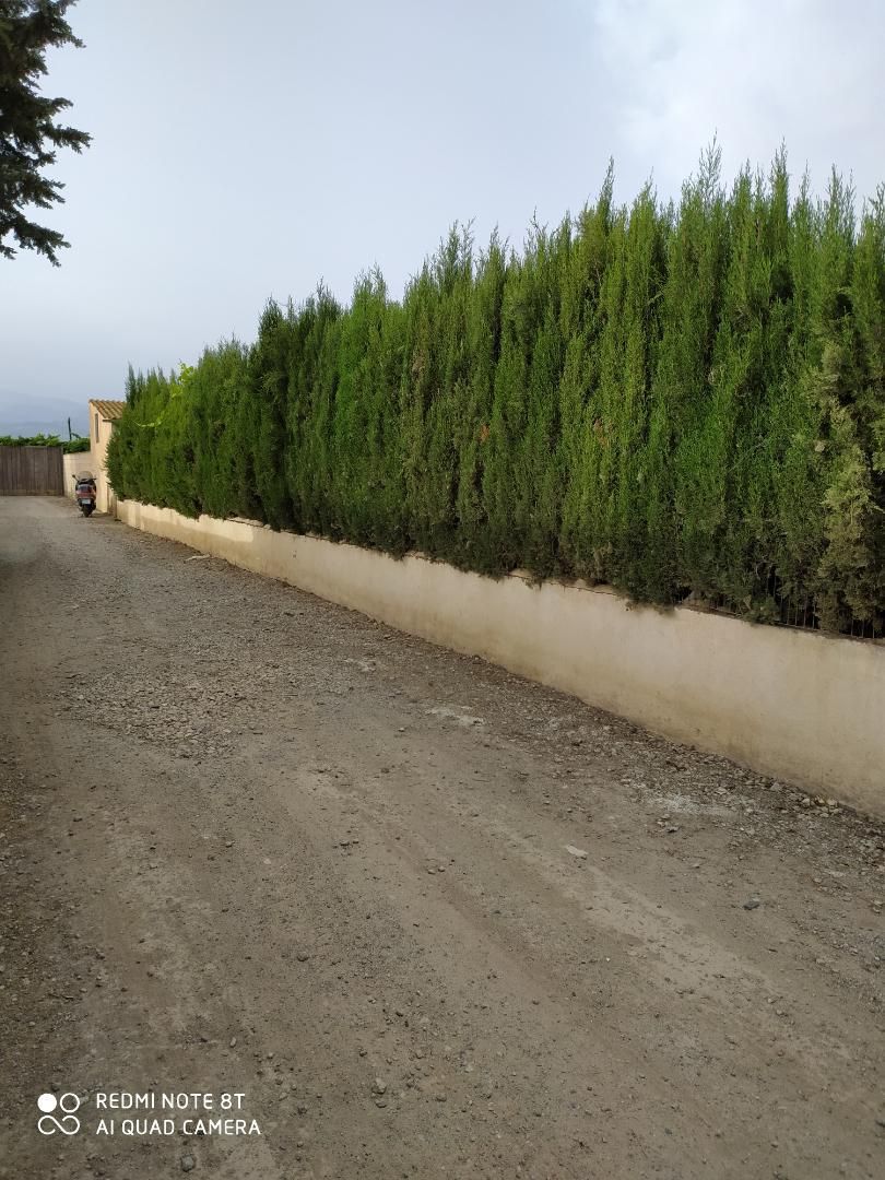 Exterior view of Country house for sale in  Granada Capital