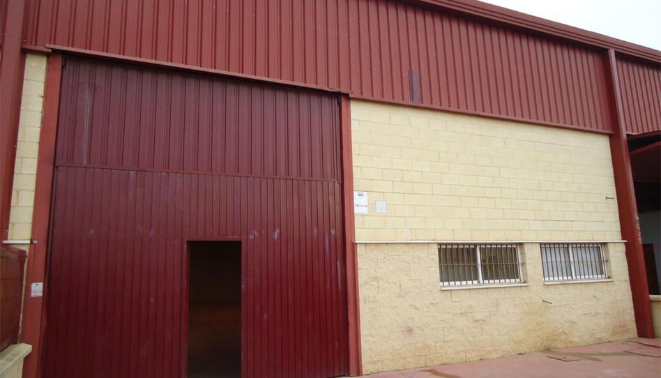 Photo 1 of Industrial buildings to rent in Oromana, Sevilla