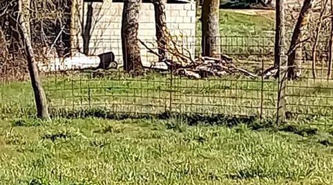 Urbanitzable en venda a Carrer Obispo, 18, Mayalde, Zamora - imatge 2 Foto 2 de Urbanitzable en venda a Carrer Obispo, 18, Mayalde, Zamora