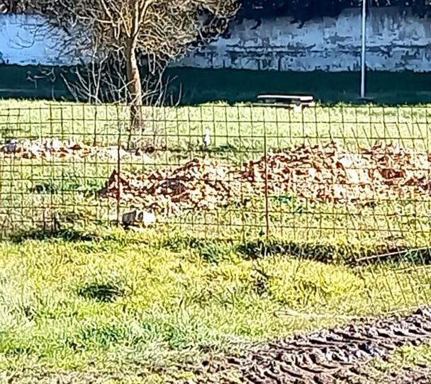 Urbanitzable en venda a Carrer Obispo, 18, Mayalde, Zamora - imatge 1 Foto 1 de Urbanitzable en venda a Carrer Obispo, 18, Mayalde, Zamora