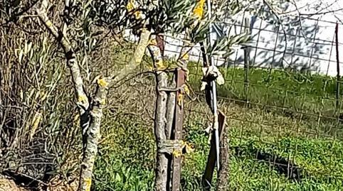 Urbanitzable en venda a Carrer Obispo, 18, Mayalde, Zamora - imatge 4 Foto 4 de Urbanitzable en venda a Carrer Obispo, 18, Mayalde, Zamora