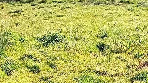 Urbanitzable en venda a Carrer Obispo, 18, Mayalde, Zamora - imatge 5 Foto 5 de Urbanitzable en venda a Carrer Obispo, 18, Mayalde, Zamora