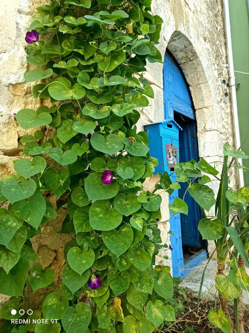 Wohnung zum Verkauf in Plaça Bisbe Vilaplana, 9, La Vall d'Alcalà Außenansicht von Wohnung zum Verkauf in La Vall d'Alcalà mit Parkett, Terrasse und Balkon