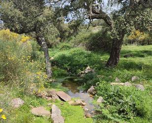 Exterior view of Country house for sale in San Vicente de Alcántara