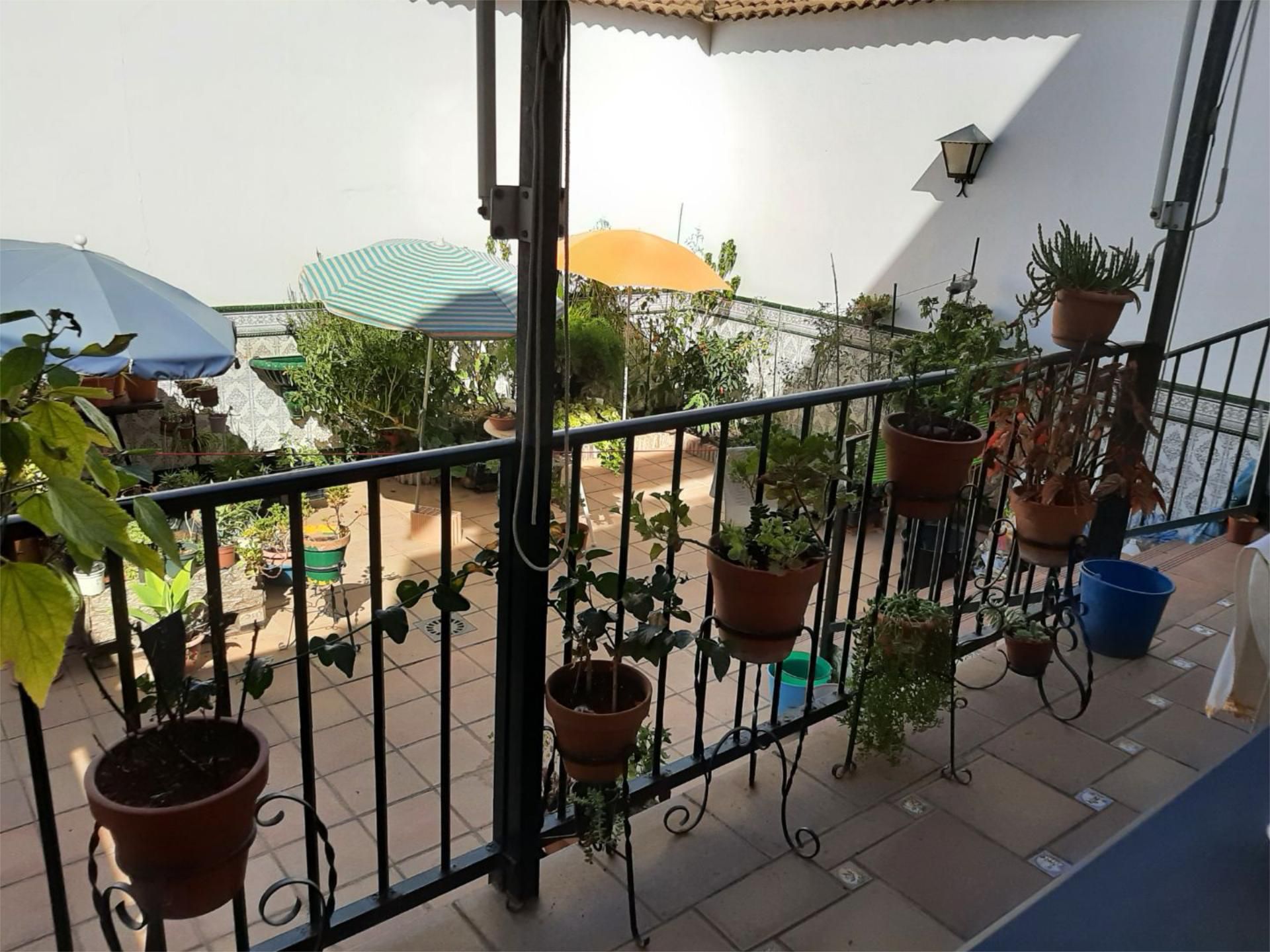 Casa adosada en venda a Calle Asín Palacios, 9, Huerta de la Reina - Trassierra Terrassa de Casa adosada en venda en Córdoba Capital amb Aire condicionat, Terrassa i Balcó