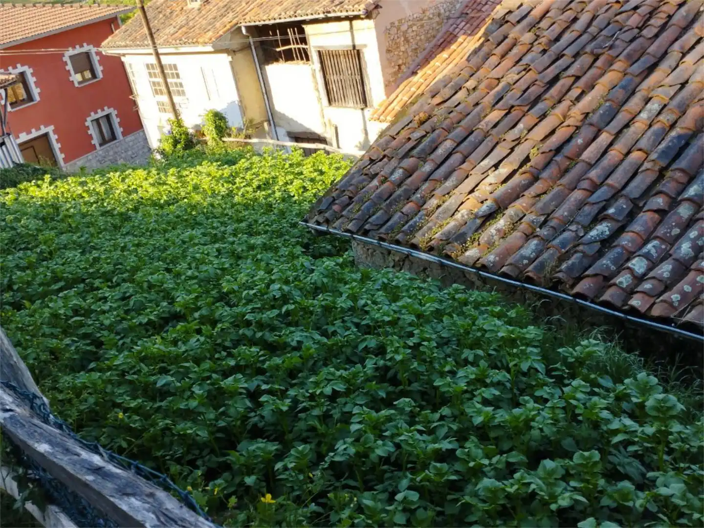 Jardín de Casa adosada en venta en Laviana