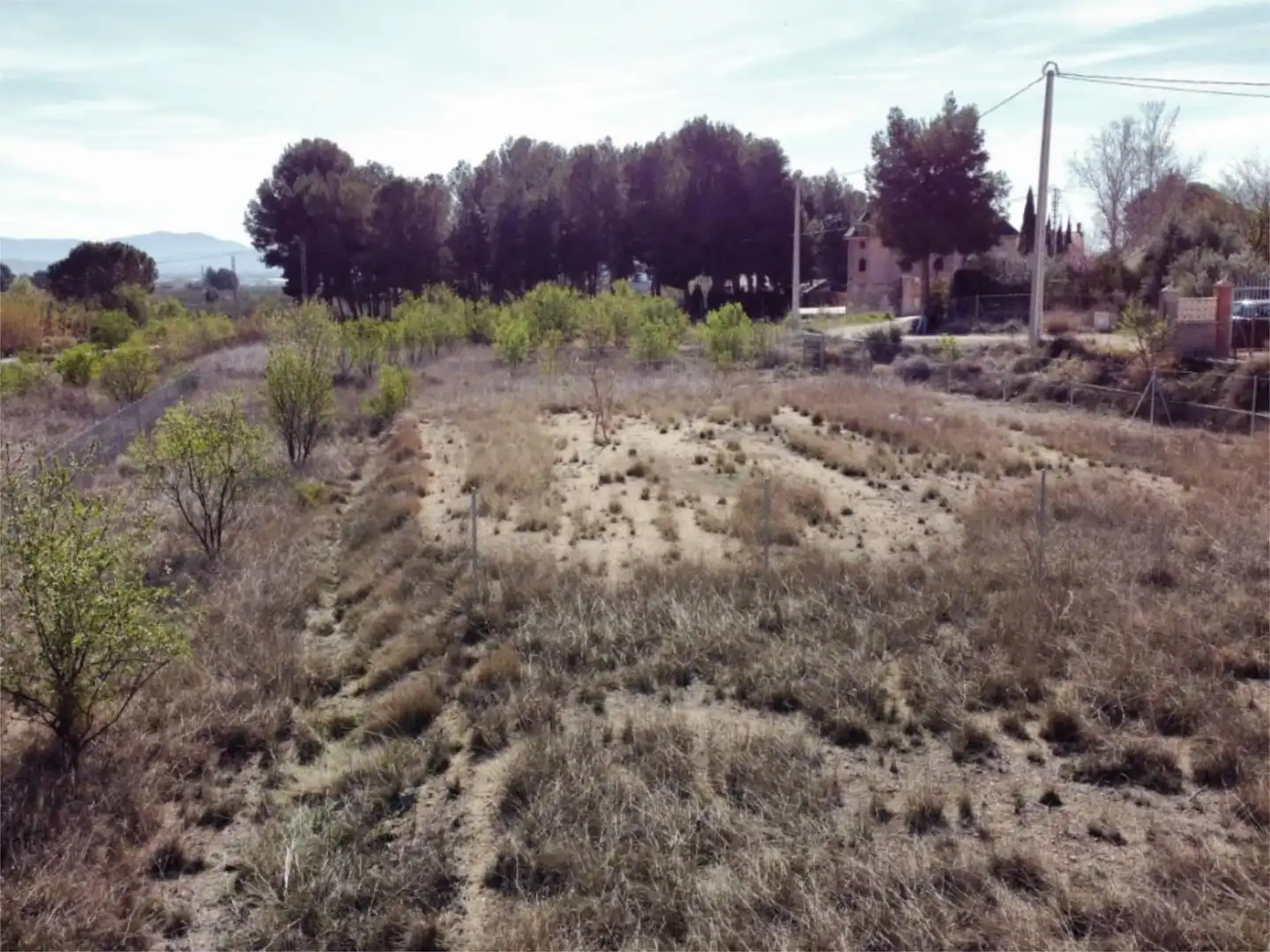 Constructible Land for sale in Vial Camino, 809, Caudete Constructible Land for sale in Caudete